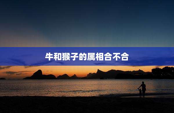 牛和猴子的属相合不合