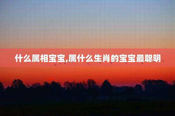 什么属相宝宝,属什么生肖的宝宝最聪明