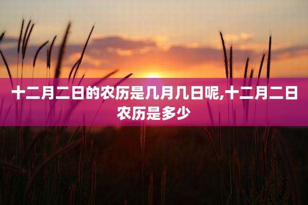 十二月二日的农历是几月几日呢,十二月二日农历是多少