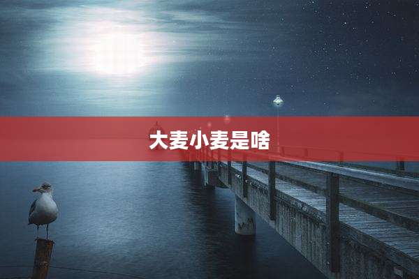 大麦小麦是啥