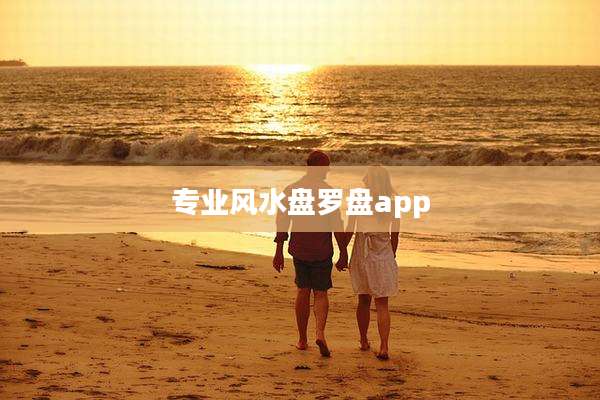 专业风水盘罗盘app