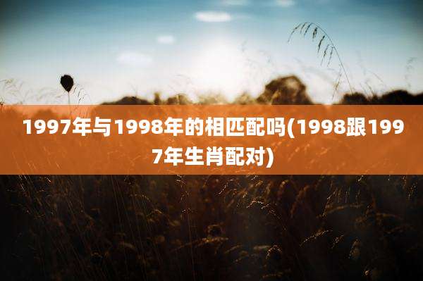 1997年与1998年的相匹配吗(1998跟1997年生肖配对)