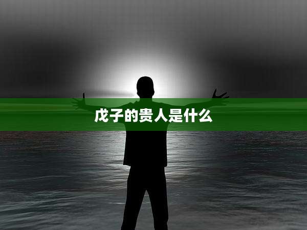 戊子的贵人是什么