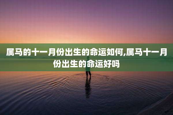 属马的十一月份出生的命运如何,属马十一月份出生的命运好吗