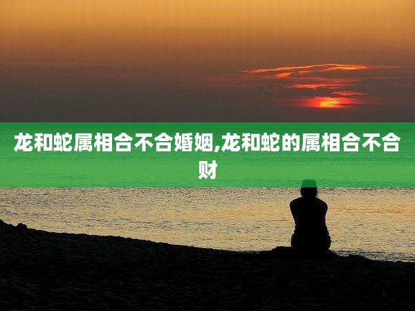 龙和蛇属相合不合婚姻,龙和蛇的属相合不合财