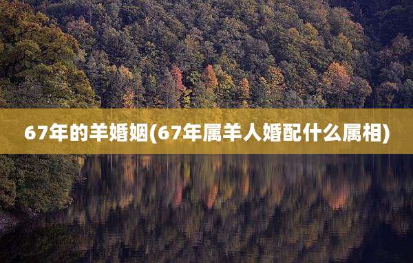67年的羊婚姻(67年属羊人婚配什么属相)