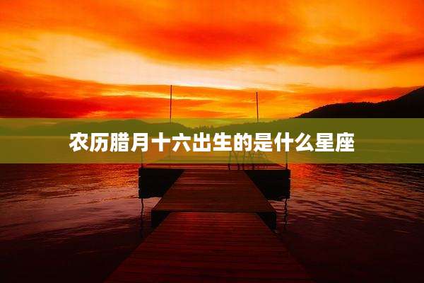 农历腊月十六出生的是什么星座