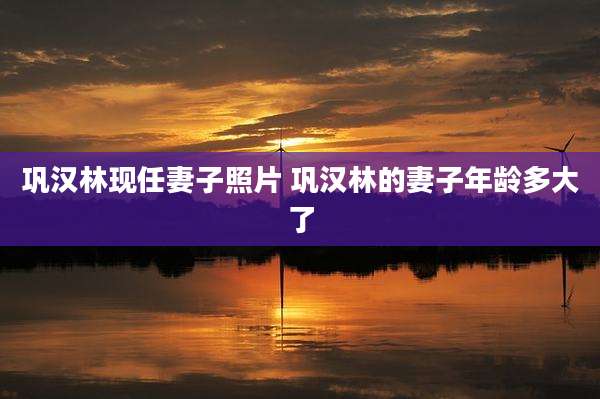巩汉林现任妻子照片 巩汉林的妻子年龄多大了