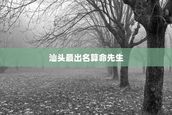 汕头最出名算命先生