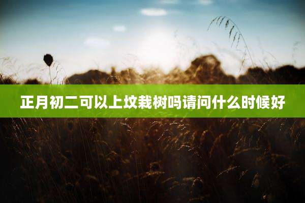 正月初二可以上坟栽树吗请问什么时候好