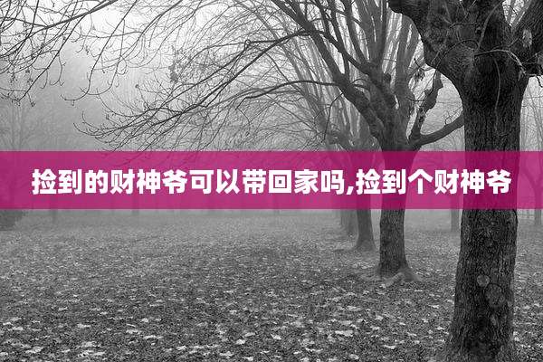 捡到的财神爷可以带回家吗,捡到个财神爷