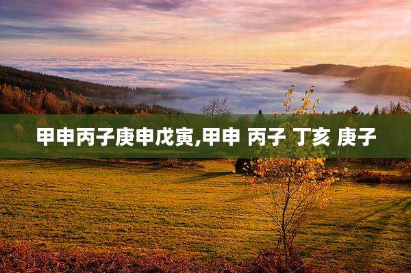 甲申丙子庚申戊寅,甲申 丙子 丁亥 庚子