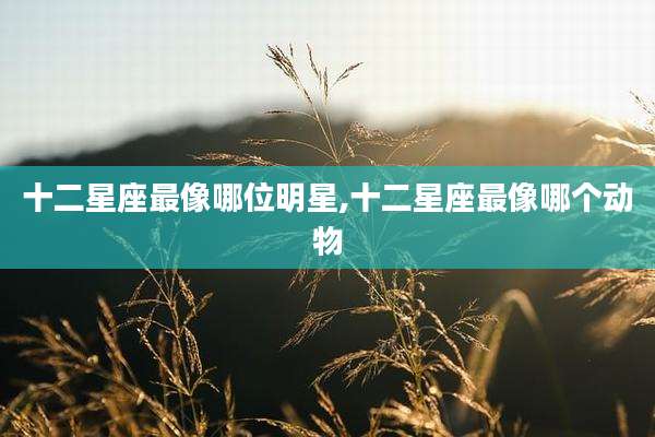 十二星座最像哪位明星,十二星座最像哪个动物