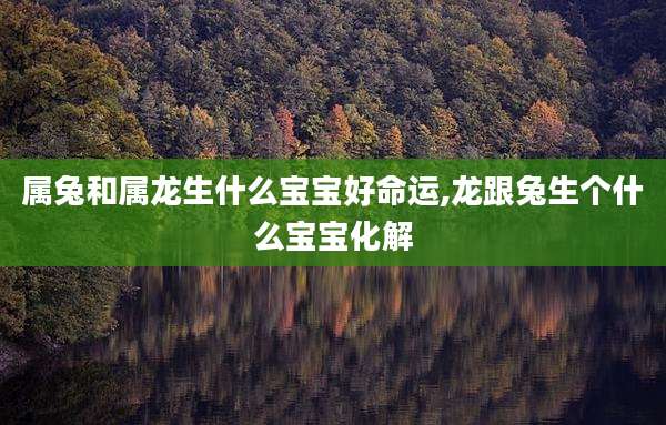 属兔和属龙生什么宝宝好命运,龙跟兔生个什么宝宝化解