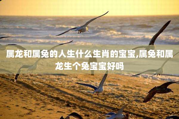属龙和属兔的人生什么生肖的宝宝,属兔和属龙生个兔宝宝好吗