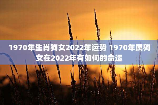 1970年生肖狗女2022年运势 1970年属狗女在2022年有如何的命运