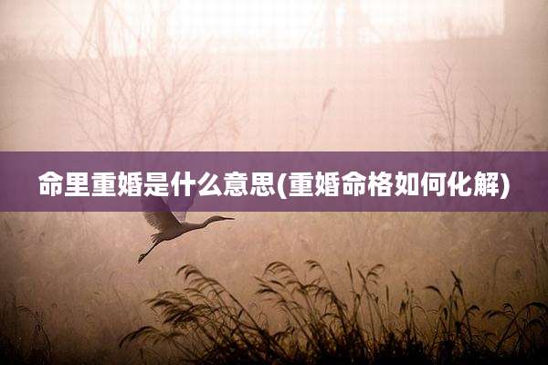 命里重婚是什么意思(重婚命格如何化解)