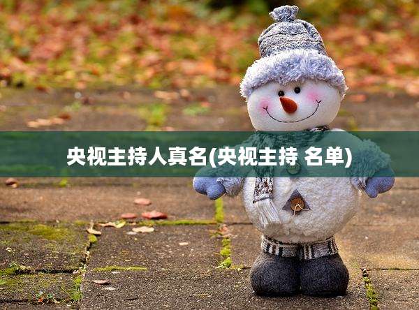 央视主持人真名(央视主持 名单)