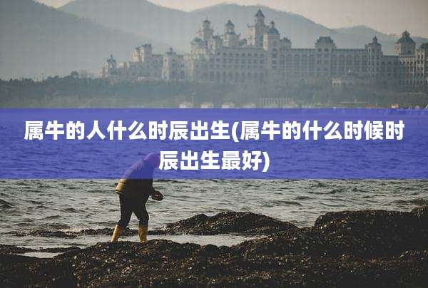 属牛的人什么时辰出生(属牛的什么时候时辰出生最好)