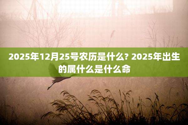 2025年12月25号农历是什么? 2025年出生的属什么是什么命