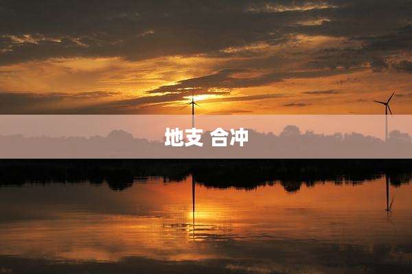 地支 合冲