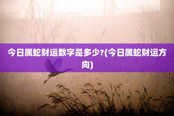 今日属蛇财运数字是多少?(今日属蛇财运方向)
