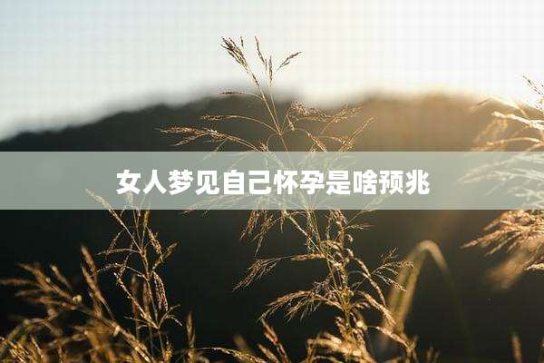 女人梦见自己怀孕是啥预兆