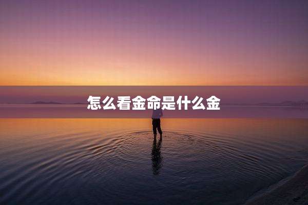 怎么看金命是什么金