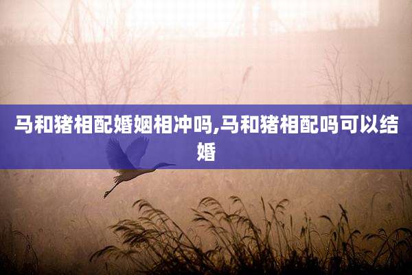 马和猪相配婚姻相冲吗,马和猪相配吗可以结婚
