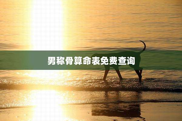 男称骨算命表免费查询