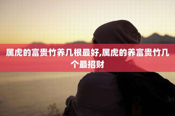 属虎的富贵竹养几根最好,属虎的养富贵竹几个最招财