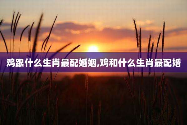 鸡跟什么生肖最配婚姻,鸡和什么生肖最配婚