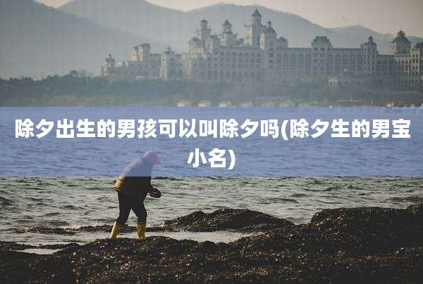 除夕出生的男孩可以叫除夕吗(除夕生的男宝小名)