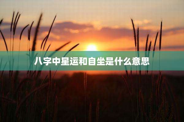八字中星运和自坐是什么意思