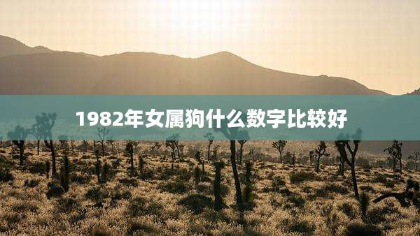 1982年女属狗什么数字比较好