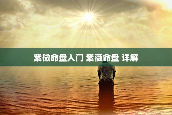 紫微命盘入门 紫薇命盘 详解