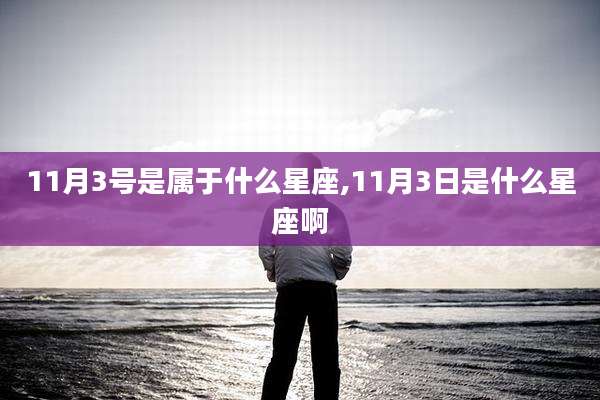 11月3号是属于什么星座,11月3日是什么星座啊