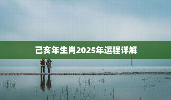 己亥年生肖2025年运程详解