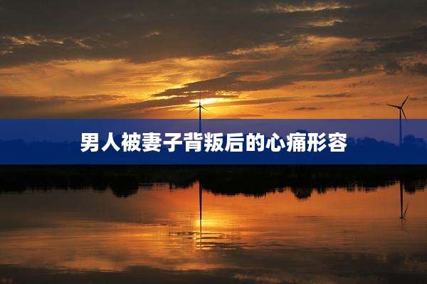 男人被妻子背叛后的心痛形容