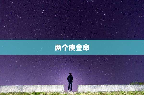 两个庚金命