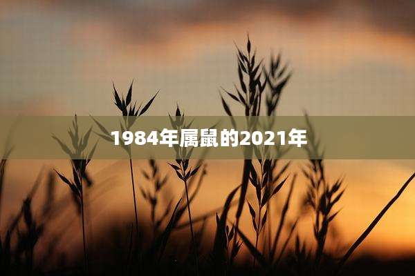 1984年属鼠的2021年