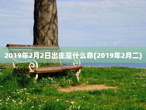 2019年2月2日出生是什么命(2019年2月二)
