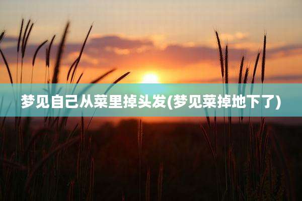 梦见自己从菜里掉头发(梦见菜掉地下了)