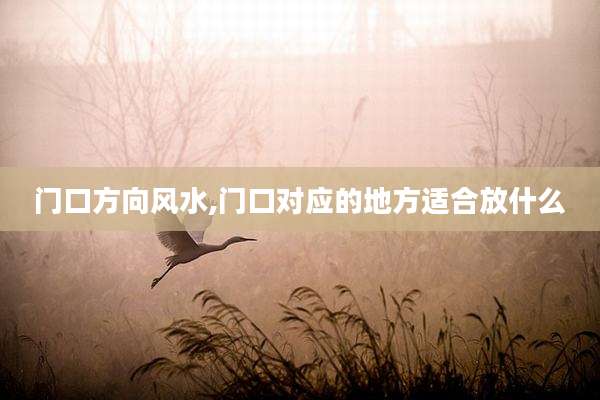 门口方向风水,门口对应的地方适合放什么