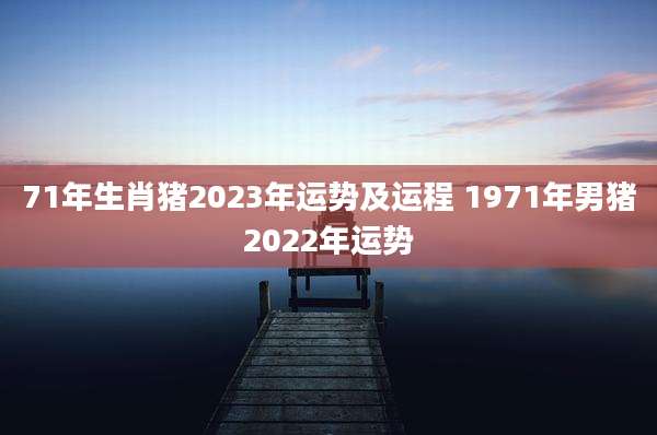 71年生肖猪2023年运势及运程 1971年男猪2022年运势