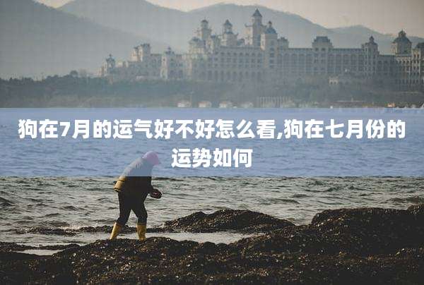 狗在7月的运气好不好怎么看,狗在七月份的运势如何
