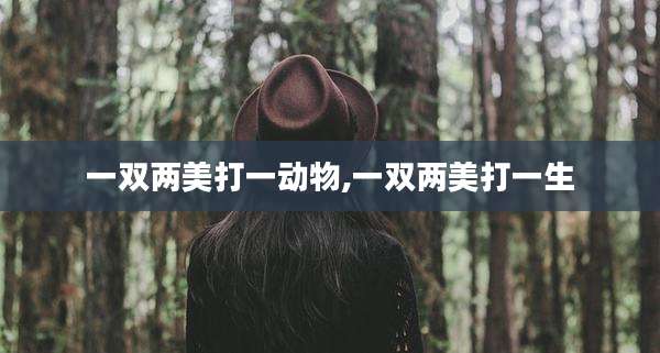 一双两美打一动物,一双两美打一生