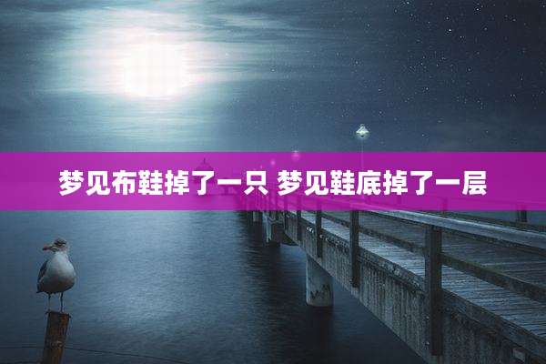梦见布鞋掉了一只 梦见鞋底掉了一层