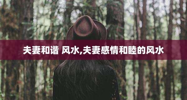 夫妻和谐 风水,夫妻感情和睦的风水