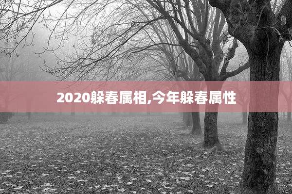 2020躲春属相,今年躲春属性